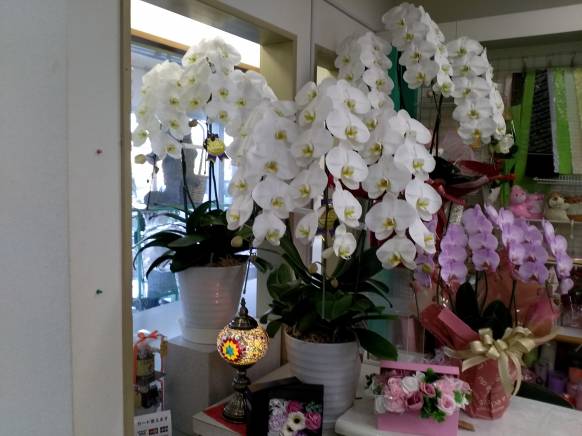 「花のやえがし」　（岩手県北上市）の花屋店舗写真4